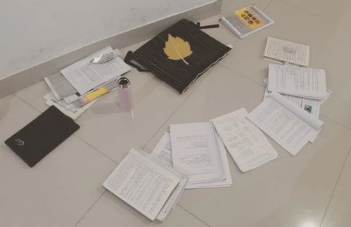 曲阜師范大學(xué) 環(huán)藝設(shè)計 初試總分402,理論150滿分學(xué)姐 風(fēng)暴設(shè)計教育