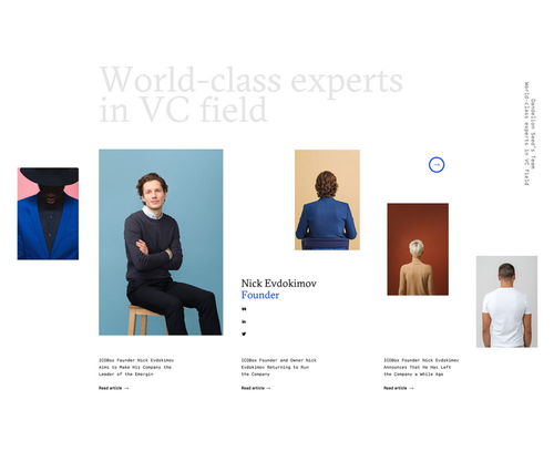 平面設(shè)計 dandelion seed 咨詢公司品牌形象設(shè)計