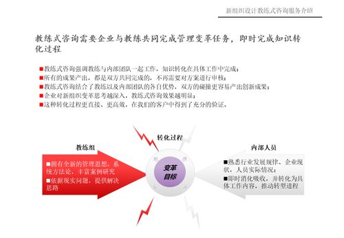 新組織設(shè)計(jì)教練式咨詢服務(wù)介紹