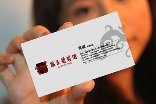 以設計賦能品牌價值 達獅雄集團旗下翰王酒業的品牌形象識別策劃與咨詢